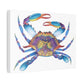 The Crab Stretched Canvas