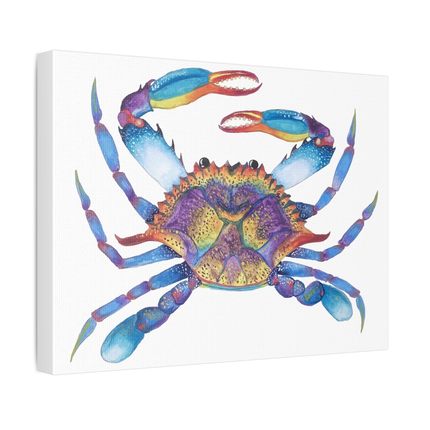 The Crab Stretched Canvas