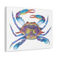 The Crab Stretched Canvas