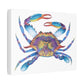 The Crab Stretched Canvas