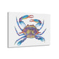 The Crab Acrylic Prints