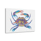 The Crab Acrylic Prints