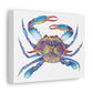 The Crab Stretched Canvas