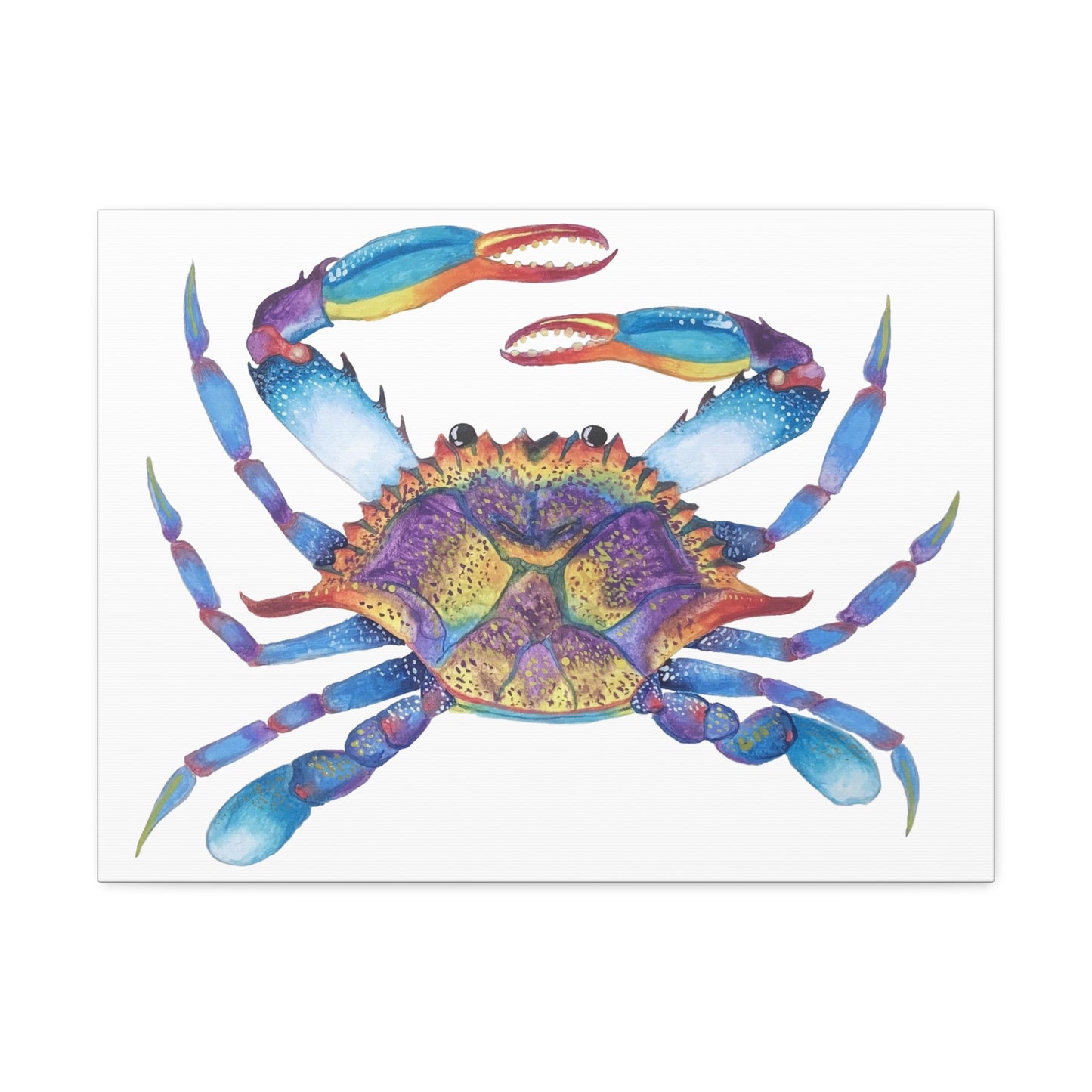 The Crab Stretched Canvas