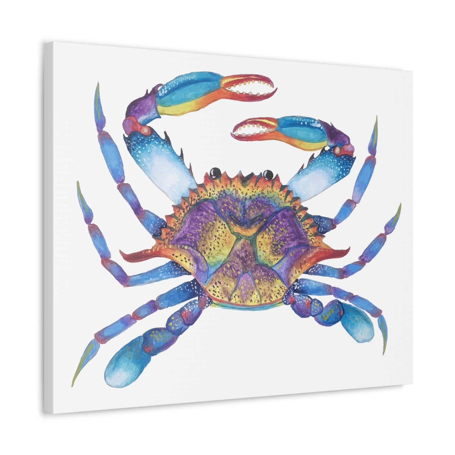 The Crab Stretched Canvas