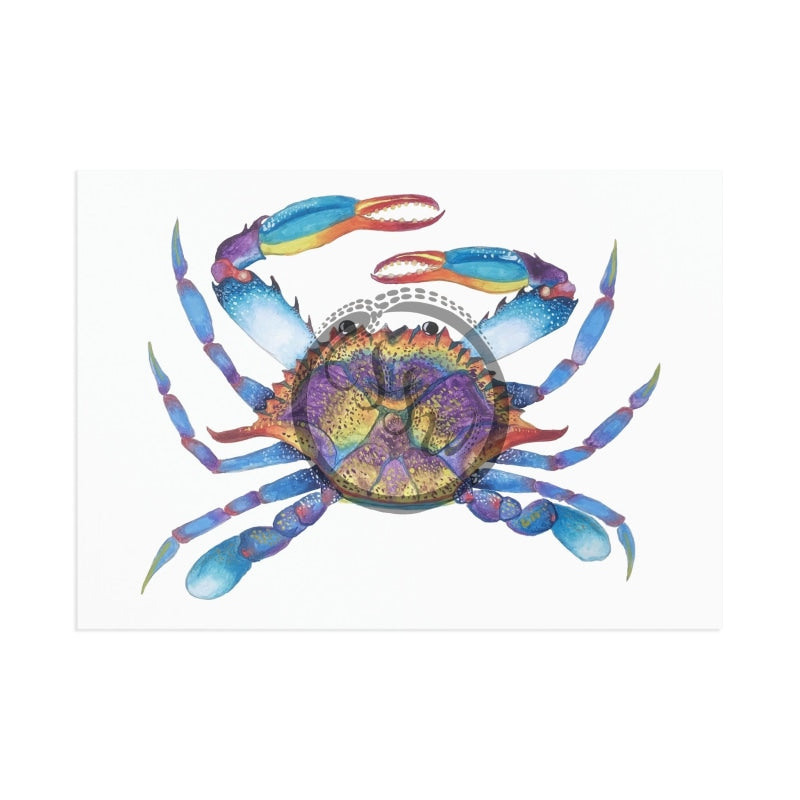 The Crab Postcards 7 X 5 (Horizontal) / 1 Pc Glossy Paper Products